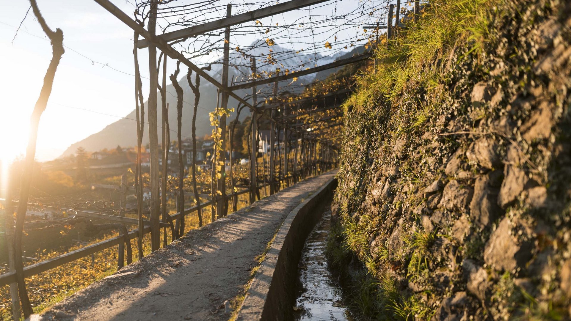 Waalwege in Südtirol