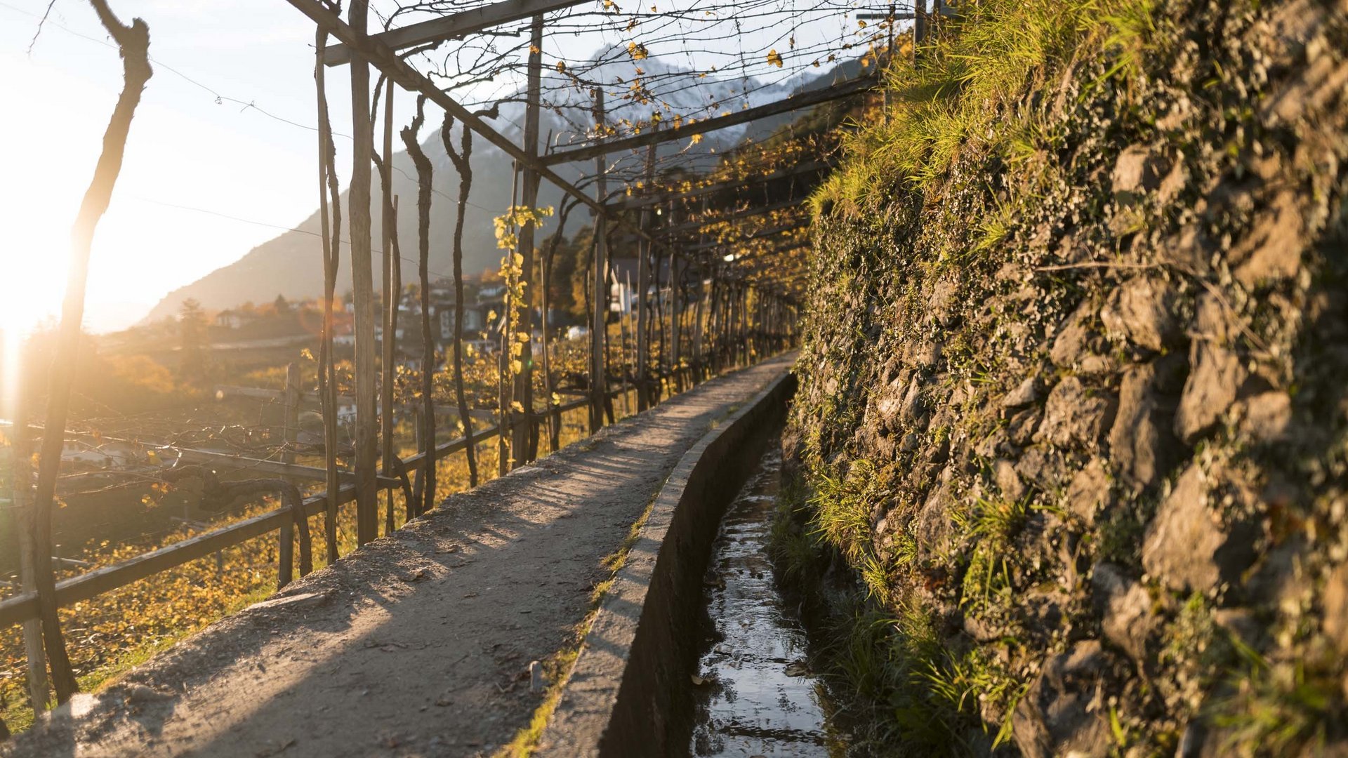 Die besten Golfplätze in Südtirol Die besten Golfplätze in Südtirol