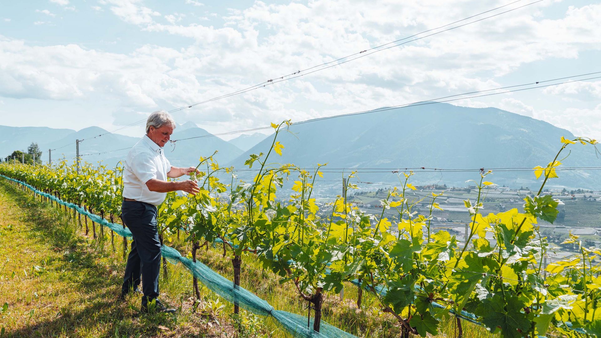 Ihr Weinhotel in Südtirol: Resmairhof Ihr Weinhotel in Südtirol: Resmairhof