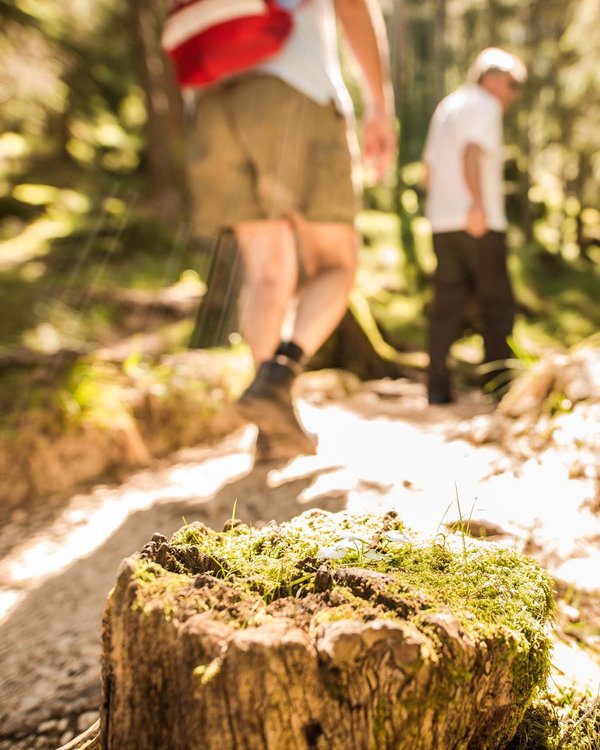 A hotel in South Tyrol with pool and much more A hotel in South Tyrol with pool and much more