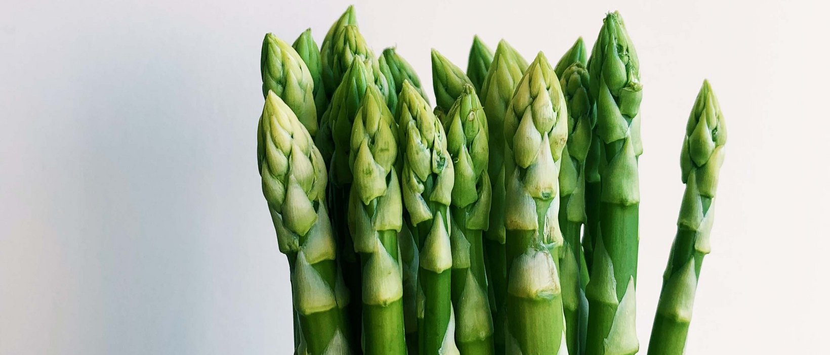 Spargel in Kräuterpfannkuchen Spargel in Kräuterpfannkuchen