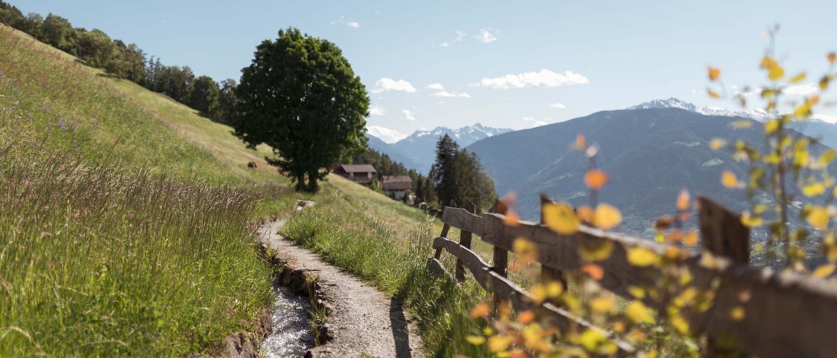 Traumhafte Frühlingswanderungen Traumhafte Frühlingswanderungen