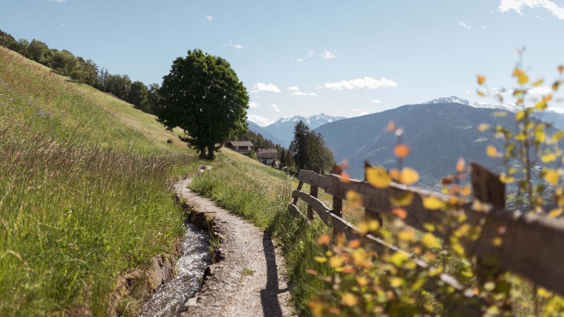 South Tyrol: Törggelen with overnight stay South Tyrol: Törggelen with overnight stay