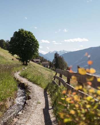 Wie wär’s mit Urlaub im Weingut in Südtirol? Wie wär’s mit Urlaub im Weingut in Südtirol?