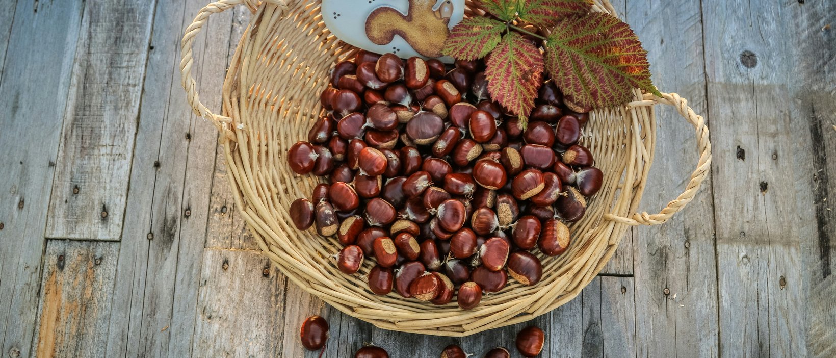 Herbstgenuss im Meraner Land Herbstgenuss im Meraner Land