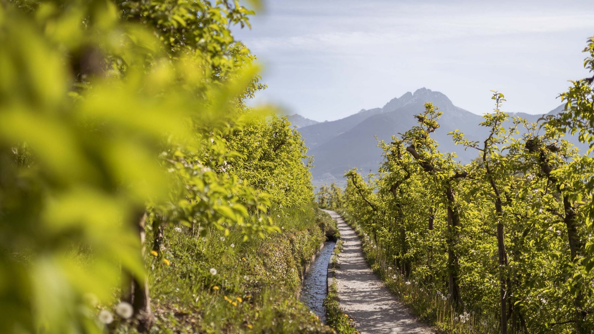 Waalwege in Südtirol Waalwege in Südtirol