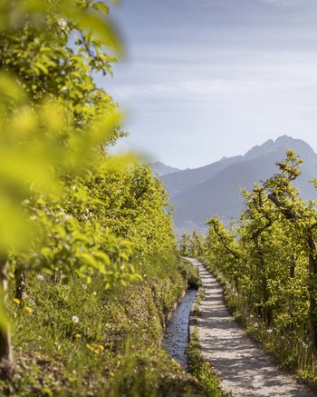 Wie wär’s mit Urlaub im Weingut in Südtirol? Wie wär’s mit Urlaub im Weingut in Südtirol?