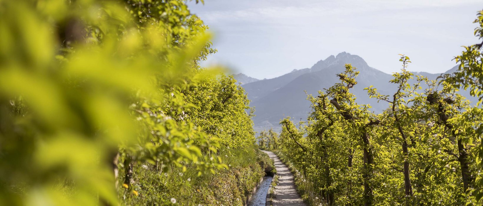 Ausflugsziele für den Sommer Ausflugsziele für den Sommer