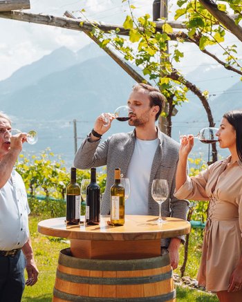 Wie wär’s mit Urlaub im Weingut in Südtirol? Wie wär’s mit Urlaub im Weingut in Südtirol?