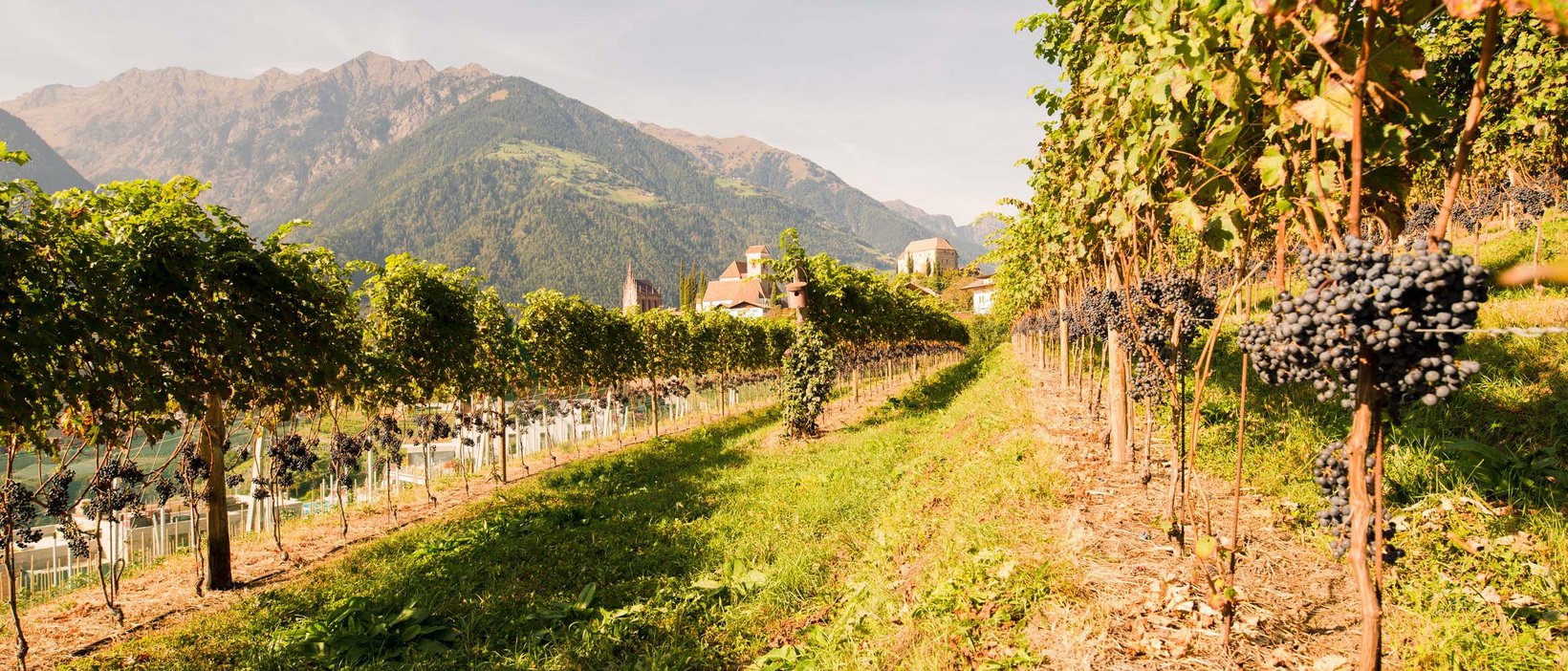 Meine 5 Tipps für Ihren unvergesslichen Urlaub Meine 5 Tipps für Ihren unvergesslichen Urlaub