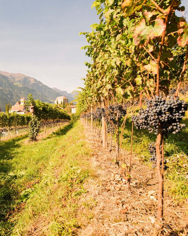 Ihr Wellnesshotel in Südtirol bei Meran Ihr Wellnesshotel in Südtirol bei Meran