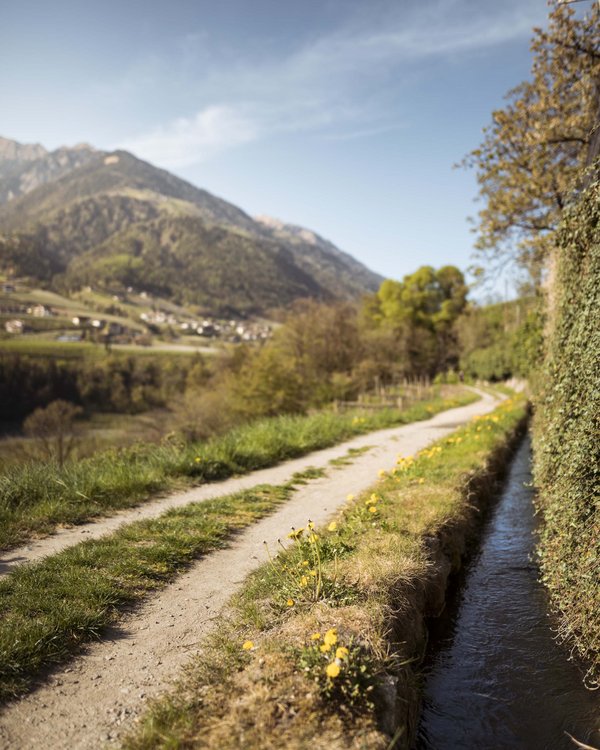 Südtirol: Törggelen mit Übernachtung Südtirol: Törggelen mit Übernachtung