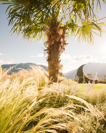 Wie wär’s mit Urlaub im Weingut in Südtirol? Wie wär’s mit Urlaub im Weingut in Südtirol?